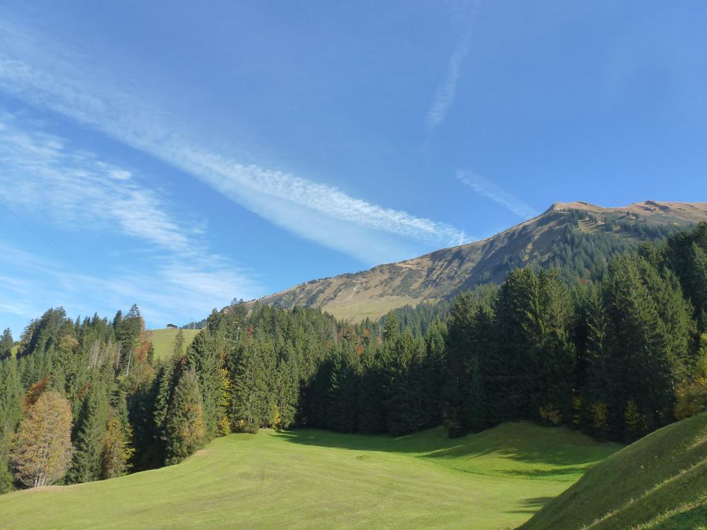 Walser Berg Chalets Riezlern Kültér fotó